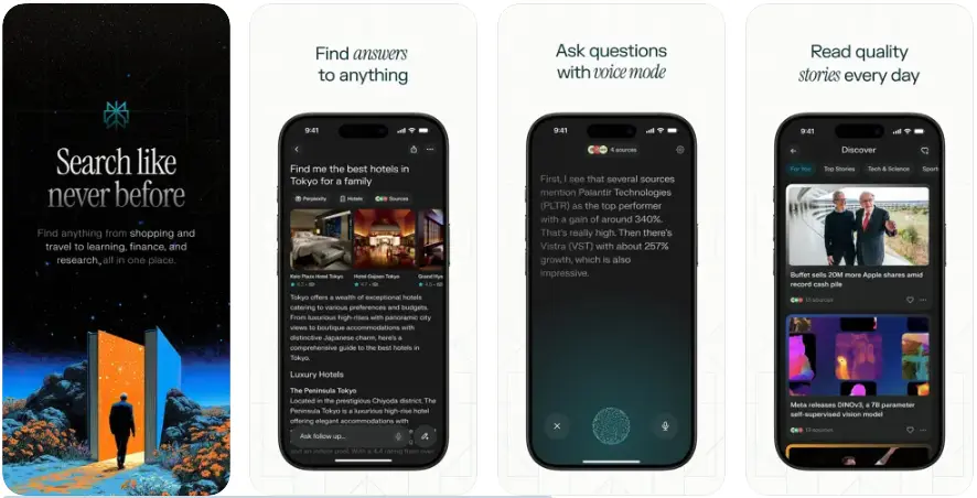 13. Perplexity AI